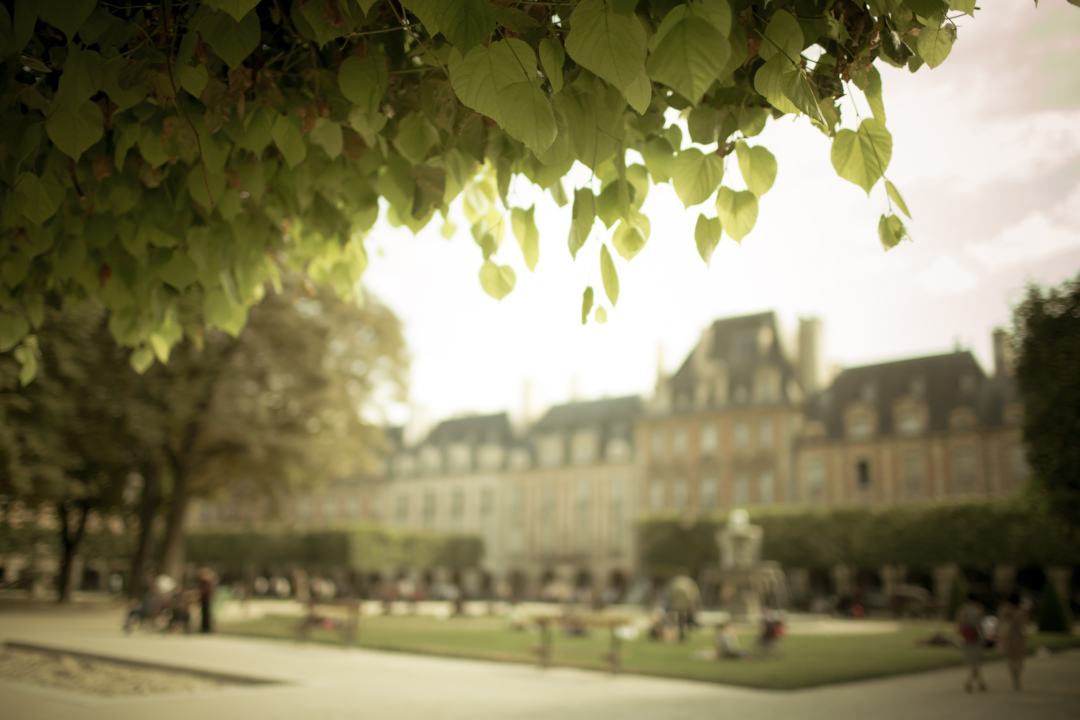 ParisFotos2012_5D3_3229